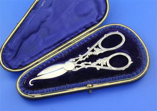 An Edwardian cased pair of silver grape shears, 6in.